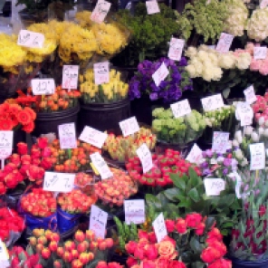 I saw and photographed these lovely flowers in the Place Monge markets one April in Paris.