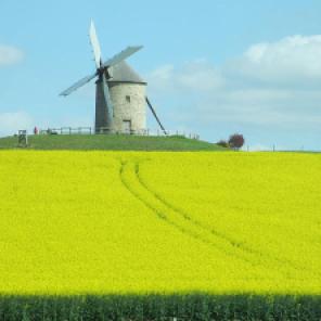 Windmill in Brittany - A lucky snap from a coach companion resulted in this fantastic photo.