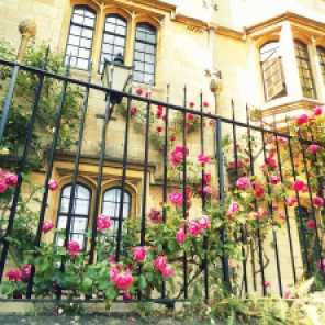 Summer in Oxford and the rambling roses maintain the aura of romance unlike the befli-flopped croquet players. https://amaviedecoeurentier.wordpress.com/2014/12/18/oxford-roses/