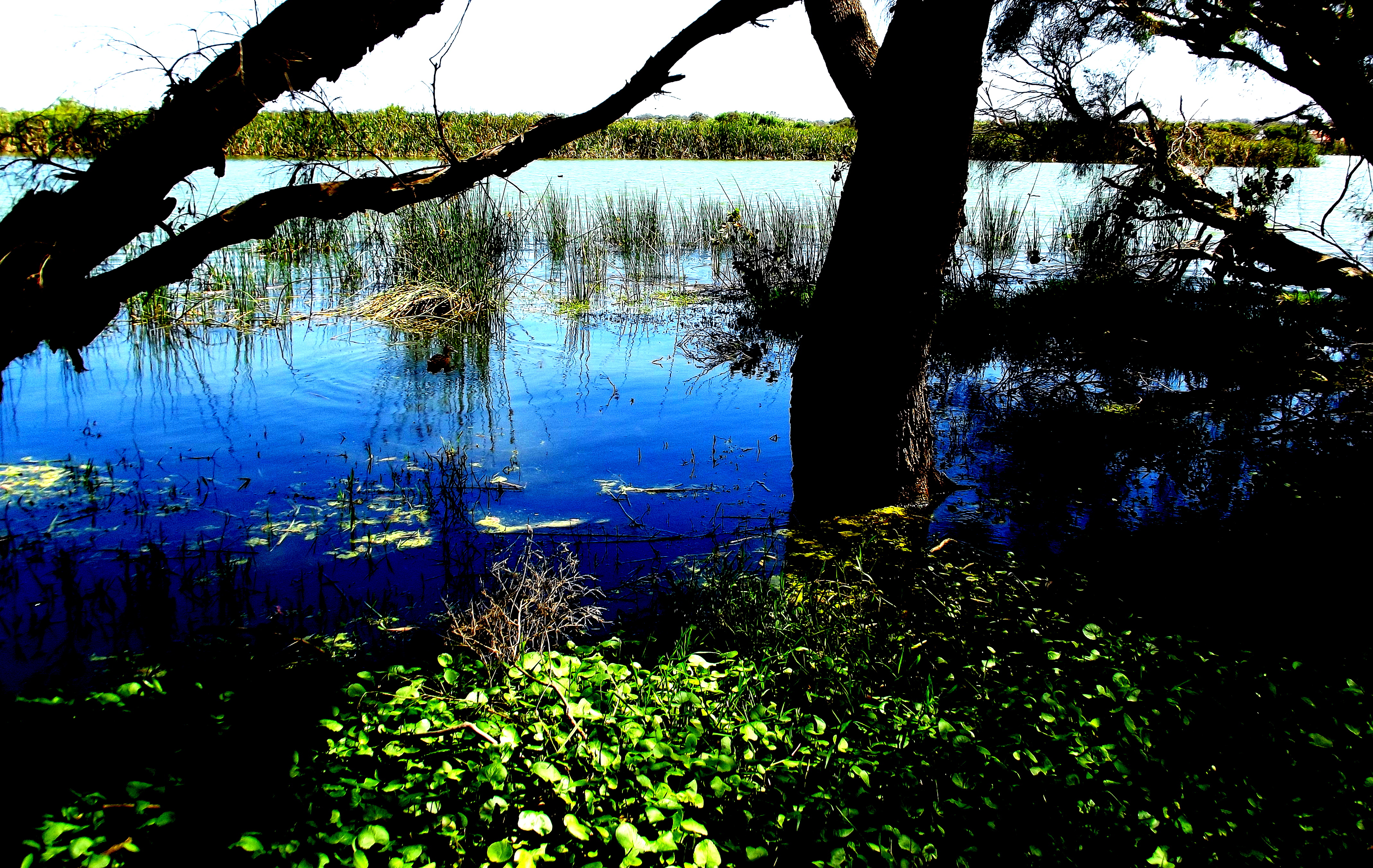 Blue water Western Australia