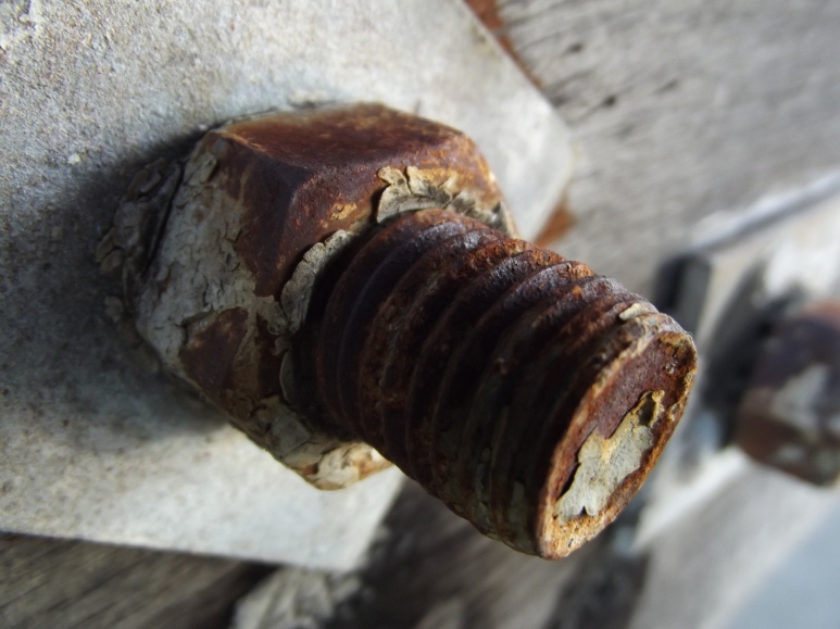 Closeup of a nut under the old wooden bridge in Fremantle