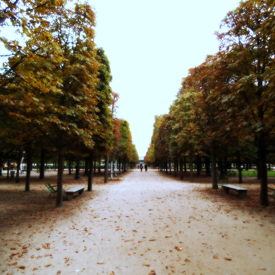 Strolling back to the Louvre through the Tuilleries